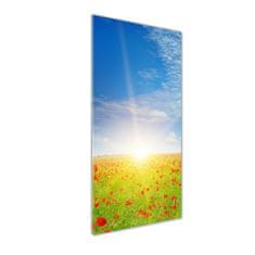 Wallmuralia Vertikální Foto obraz sklo tvrzené Pole máků 50x125 cm 2 úchytky