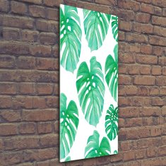 Wallmuralia Vertikální Foto-obrah sklo tvrzené Monstera 50x125 cm 2 úchytky