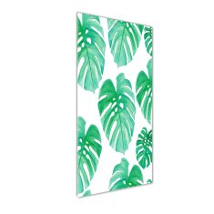 Wallmuralia Vertikální Foto-obrah sklo tvrzené Monstera 50x125 cm 2 úchytky