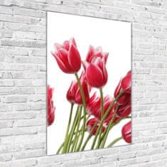 Wallmuralia Vertikální Fotoobraz na skle Červené tulipány 70x100 cm 4 úchytky