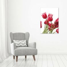 Wallmuralia Vertikální Fotoobraz na skle Červené tulipány 70x100 cm 4 úchytky