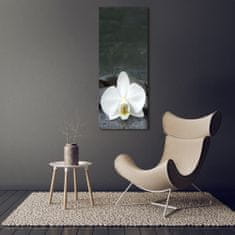 Wallmuralia Vertikální Fotoobraz na skle Orchidej kameny 50x125 cm 2 úchytky