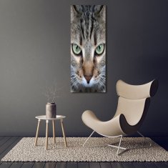 Wallmuralia Vertikální Foto obraz sklo tvrzené Oči kočky 50x125 cm 4 úchytky