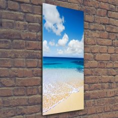 Wallmuralia Vertikální Foto obraz skleněný svislý Tropická pláž 50x125 cm 2 úchytky