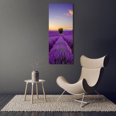 Wallmuralia Vertikální Foto obraz sklo tvrzené Pole levandule 70x140 cm 4 úchytky