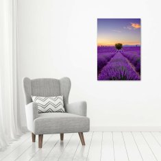 Wallmuralia Vertikální Foto obraz sklo tvrzené Pole levandule 70x100 cm 2 úchytky