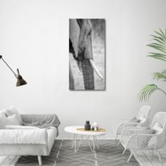 Wallmuralia Vertikální Moderní foto obraz na stěnu Slon 60x120 cm 2 úchytky