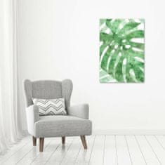 Wallmuralia Vertikální Foto-obrah sklo tvrzené Monstera 70x100 cm 2 úchytky