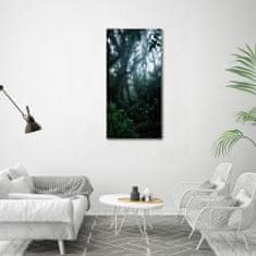 Wallmuralia Vertikální Foto obraz sklo tvrzené Deštný prales 60x120 cm 4 úchytky