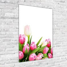 Wallmuralia Vertikální Fotoobraz na skle Růžové tulipány 70x100 cm 2 úchytky