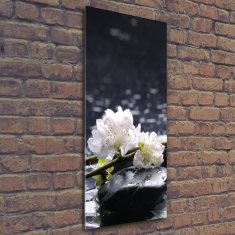 Wallmuralia Vertikální Fotoobraz na skle Květiny a kamení 50x125 cm 2 úchytky