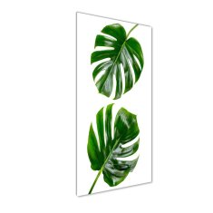 Wallmuralia Vertikální Foto-obrah sklo tvrzené Monstera 50x125 cm 4 úchytky