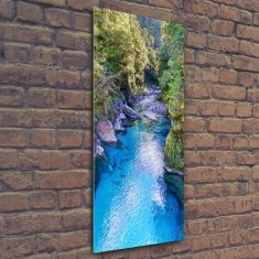 Wallmuralia Vertikální Foto obraz sklo tvrzené Řeka v lese 50x125 cm 2 úchytky