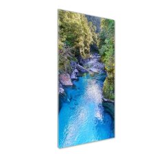 Wallmuralia Vertikální Foto obraz sklo tvrzené Řeka v lese 50x125 cm 2 úchytky