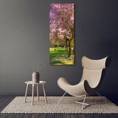 Wallmuralia Vertikální Foto obraz sklo tvrzené Višně 70x140 cm 2 úchytky