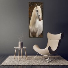 Wallmuralia Vertikální Foto obraz sklo tvrzené Bílý kůň 50x125 cm 4 úchytky