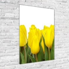 Wallmuralia Vertikální Foto obraz fotografie na skle Žluté tulipány 70x100 cm 2 úchytky