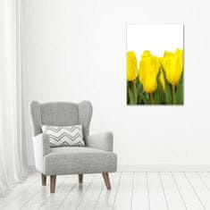 Wallmuralia Vertikální Foto obraz fotografie na skle Žluté tulipány 70x100 cm 2 úchytky