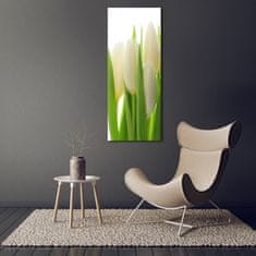 Wallmuralia Vertikální Foto obraz fotografie na skle Bílé tulipány 70x140 cm 4 úchytky