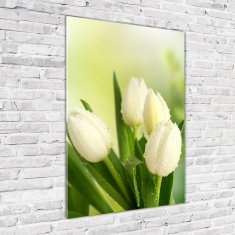 Wallmuralia Vertikální Foto obraz fotografie na skle Bílé tulipány 70x100 cm 4 úchytky