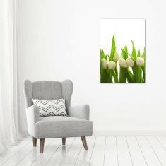 Wallmuralia Vertikální Foto obraz fotografie na skle Bílé tulipány 70x100 cm 4 úchytky