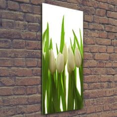 Wallmuralia Vertikální Foto obraz fotografie na skle Bílé tulipány 50x125 cm 2 úchytky