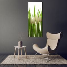 Wallmuralia Vertikální Foto obraz fotografie na skle Bílé tulipány 50x125 cm 2 úchytky