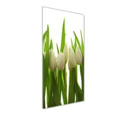 Wallmuralia Vertikální Foto obraz fotografie na skle Bílé tulipány 50x125 cm 2 úchytky