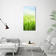 Wallmuralia Vertikální Fotoobraz skleněný na stěnu do obýváku Tráva 60x120 cm 2 úchytky