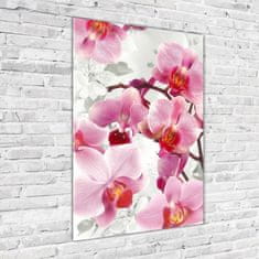 Wallmuralia Vertikální Fotoobraz na skle Růžová orchidej 70x100 cm 4 úchytky