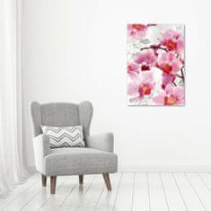 Wallmuralia Vertikální Fotoobraz na skle Růžová orchidej 70x100 cm 4 úchytky