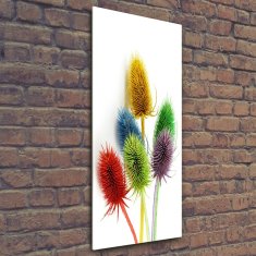 Wallmuralia Vertikální Moderní foto obraz na stěnu Oset 50x125 cm 2 úchytky