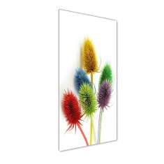 Wallmuralia Vertikální Moderní foto obraz na stěnu Oset 50x125 cm 2 úchytky