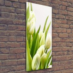 Wallmuralia Vertikální Foto obraz fotografie na skle Bílé tulipány 50x125 cm 4 úchytky