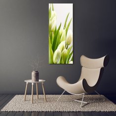 Wallmuralia Vertikální Foto obraz fotografie na skle Bílé tulipány 50x125 cm 4 úchytky