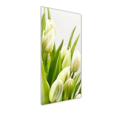 Wallmuralia Vertikální Foto obraz fotografie na skle Bílé tulipány 50x125 cm 4 úchytky