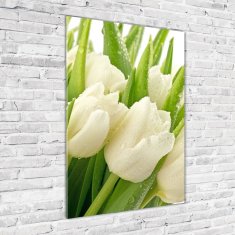 Wallmuralia Vertikální Foto obraz fotografie na skle Bílé tulipány 70x100 cm 4 úchytky