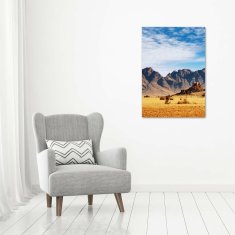 Wallmuralia Vertikální Foto obraz skleněný svislý Namibská pošť 70x100 cm 2 úchytky