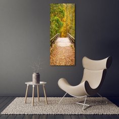 Wallmuralia Vertikální Foto obraz sklo tvrzené Les na podzim 70x140 cm 4 úchytky