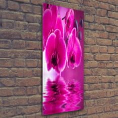 Wallmuralia Vertikální Fotoobraz na skle Růžová orchidej 50x125 cm 4 úchytky