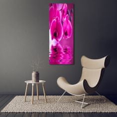 Wallmuralia Vertikální Fotoobraz na skle Růžová orchidej 50x125 cm 4 úchytky