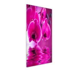 Wallmuralia Vertikální Fotoobraz na skle Růžová orchidej 50x125 cm 4 úchytky