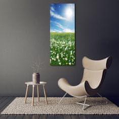 Wallmuralia Vertikální Moderní foto obraz na stěnu Louka 70x140 cm 4 úchytky