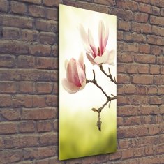 Wallmuralia Vertikální Fotoobraz na skle Květy magnolie 50x125 cm 2 úchytky