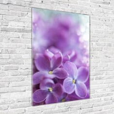 Wallmuralia Vertikální Foto obraz sklo tvrzené Květy bzu 70x100 cm 4 úchytky