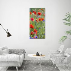 Wallmuralia Vertikální Foto obraz sklo tvrzené Polné máky 60x120 cm 2 úchytky