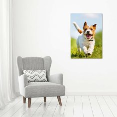 Wallmuralia Vertikální Fotoobraz na skle Pes Jack Russell 70x100 cm 2 úchytky