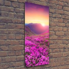 Wallmuralia Vertikální Foto obraz skleněný svislý Hory rododendrom 50x125 cm 4 úchytky