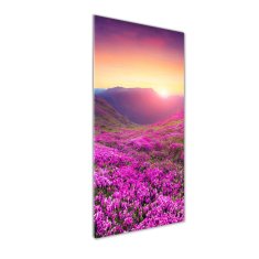 Wallmuralia Vertikální Foto obraz skleněný svislý Hory rododendrom 50x125 cm 4 úchytky