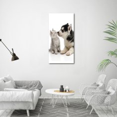 Wallmuralia Vertikální Foto obraz sklo tvrzené Pes a kočka 60x120 cm 2 úchytky